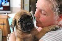 CHIOT