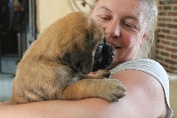 CHIOT